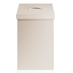 Корзина для белья DECOR WALTHER BROWNIE 0924747 напольная цвет Песочно бежевый